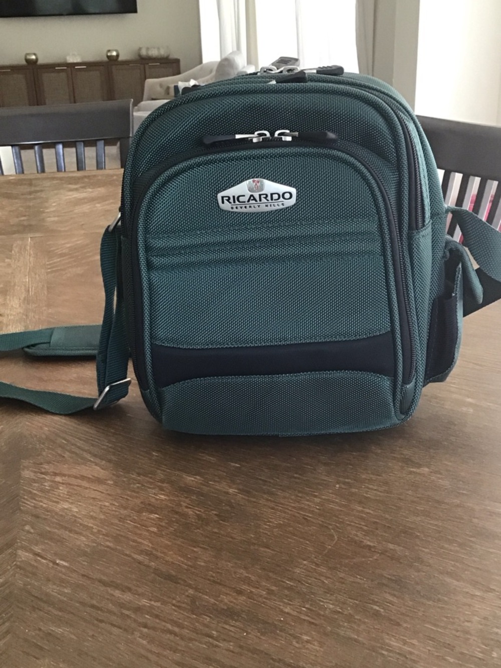 Ricardo Beverly Hills travel bag organizer.
